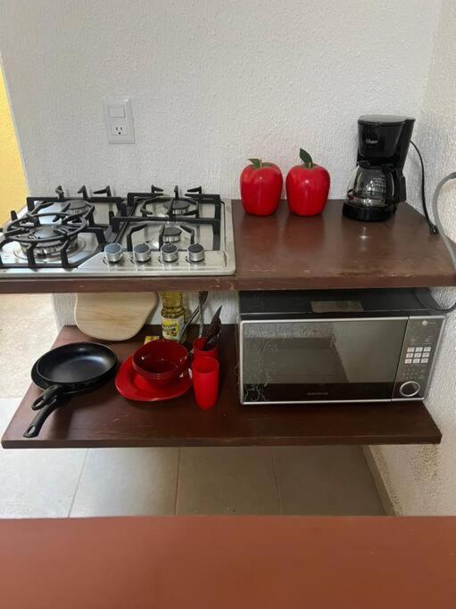 New Home Sol, Mar Y Arena Ixtapa. 伊斯塔帕 外观 照片