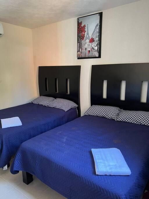 New Home Sol, Mar Y Arena Ixtapa. 伊斯塔帕 外观 照片